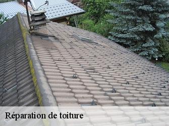 Réparation de toiture  1018