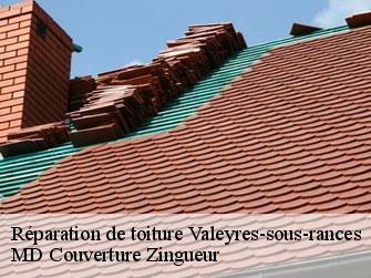 Réparation de toiture 1358