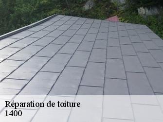 Réparation de toiture 1400