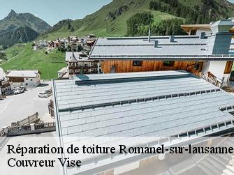 Réparation de toiture  romanel-sur-lausanne-1032 Couvreur Vise