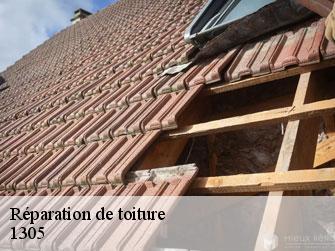Réparation de toiture  1305