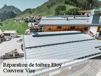 Réparation de toiture etoy-1163 Couvreur Vise