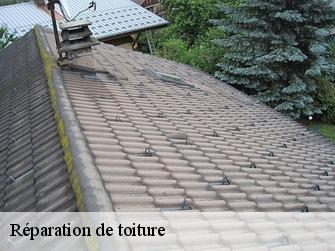 Réparation de toiture 1844