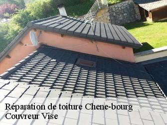 Réparation de toiture 1225