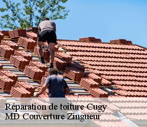 Réparation de toiture  cugy-1482 MD Couverture Zingueur