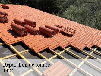 Réparation de toiture  1424