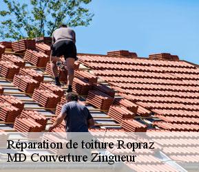 Réparation de toiture  ropraz-1088 MD Couverture Zingueur