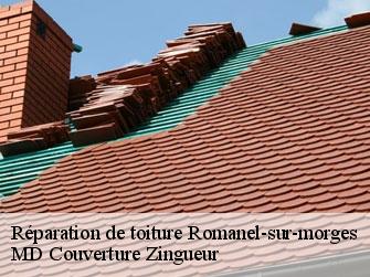 Réparation de toiture  1122