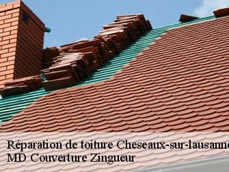 Réparation de toiture  1033