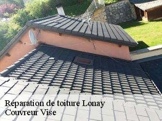 Réparation de toiture 1027
