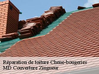 Réparation de toiture  1224