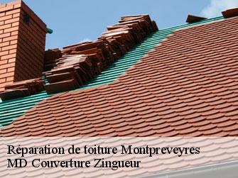 Réparation de toiture  1081