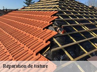 Réparation de toiture