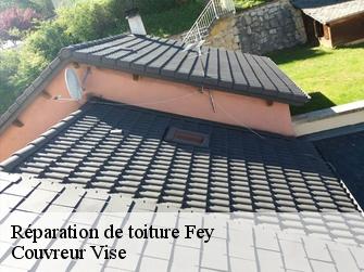 Réparation de toiture 1996