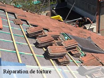 Réparation de toiture 1996