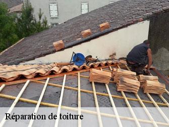 Réparation de toiture