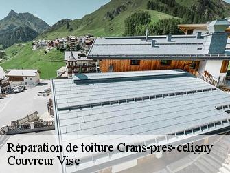 Réparation de toiture  crans-pres-celigny-1299 Couvreur Vise