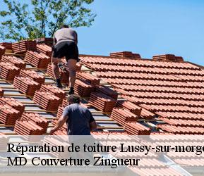 Réparation de toiture lussy-sur-morges-1167 MD Couverture Zingueur