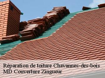 Réparation de toiture 1290