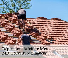 Réparation de toiture  mex-1031 MD Couverture Zingueur