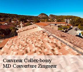 Couvreur  collex-bossy-1239 MD Couverture Zingueur