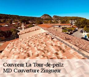Couvreur  la-tour-de-peilz-1814 MD Couverture Zingueur