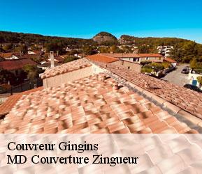 Couvreur  gingins-1276 MD Couverture Zingueur
