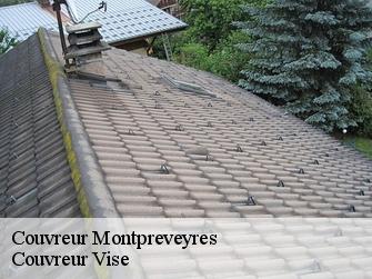 Couvreur 1081