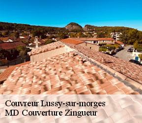 Couvreur lussy-sur-morges-1167 MD Couverture Zingueur