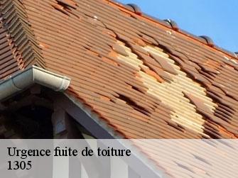 Urgence fuite de toiture  1305