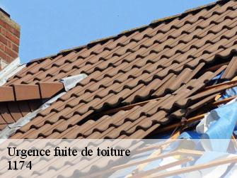 Urgence fuite de toiture