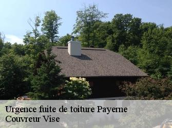 Urgence fuite de toiture  1530