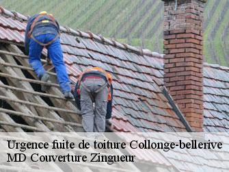 Urgence fuite de toiture  1245