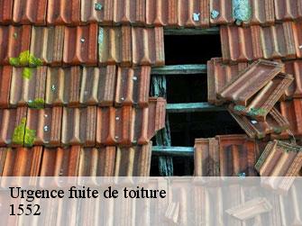 Urgence fuite de toiture  1552
