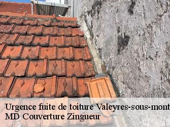 Urgence fuite de toiture