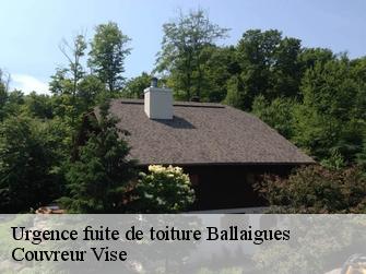 Urgence fuite de toiture  1338