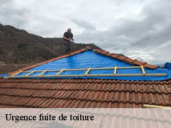 Urgence fuite de toiture  1009