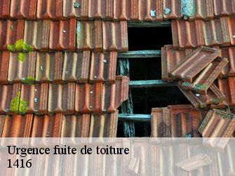 Urgence fuite de toiture  1416