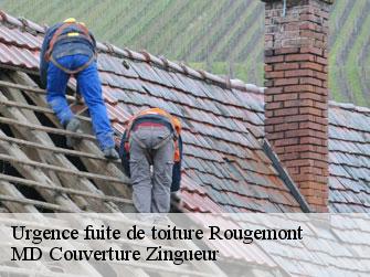 Urgence fuite de toiture  1659