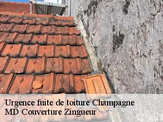 Urgence fuite de toiture