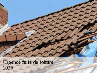 Urgence fuite de toiture