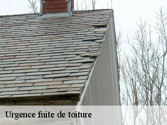 Urgence fuite de toiture