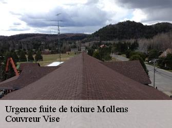 Urgence fuite de toiture mollens-3974 Couvreur Vise