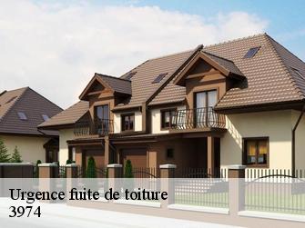 Urgence fuite de toiture 3974