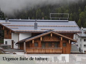 Urgence fuite de toiture 3974