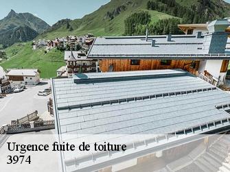 Urgence fuite de toiture 3974