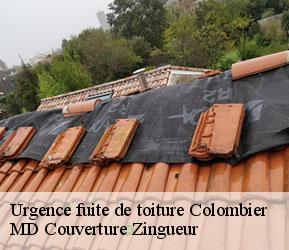 Urgence fuite de toiture  colombier-2013 MD Couverture Zingueur