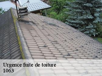 Urgence fuite de toiture