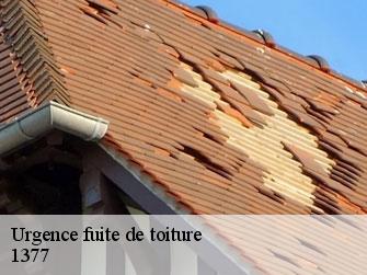 Urgence fuite de toiture  1377