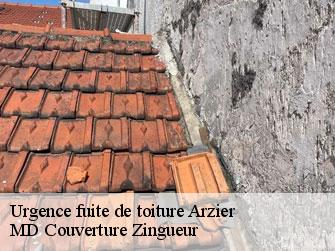 Urgence fuite de toiture